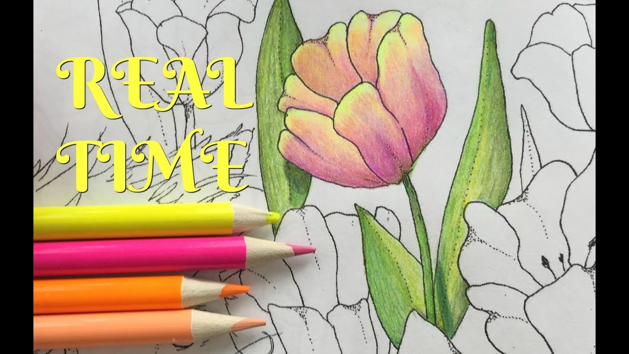 REAL TIME Polychromos and Hero Color Along