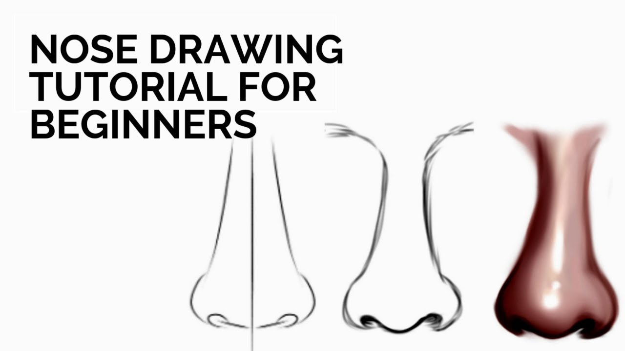 Nose Drawing Tutorial For Beginners (easy steps) [Ibis Paint X]