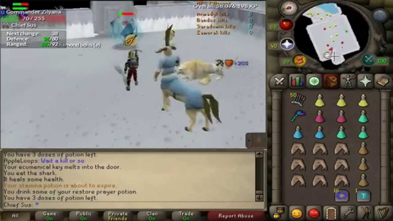 Chief Sus' First Day at Saradomin (GWD)