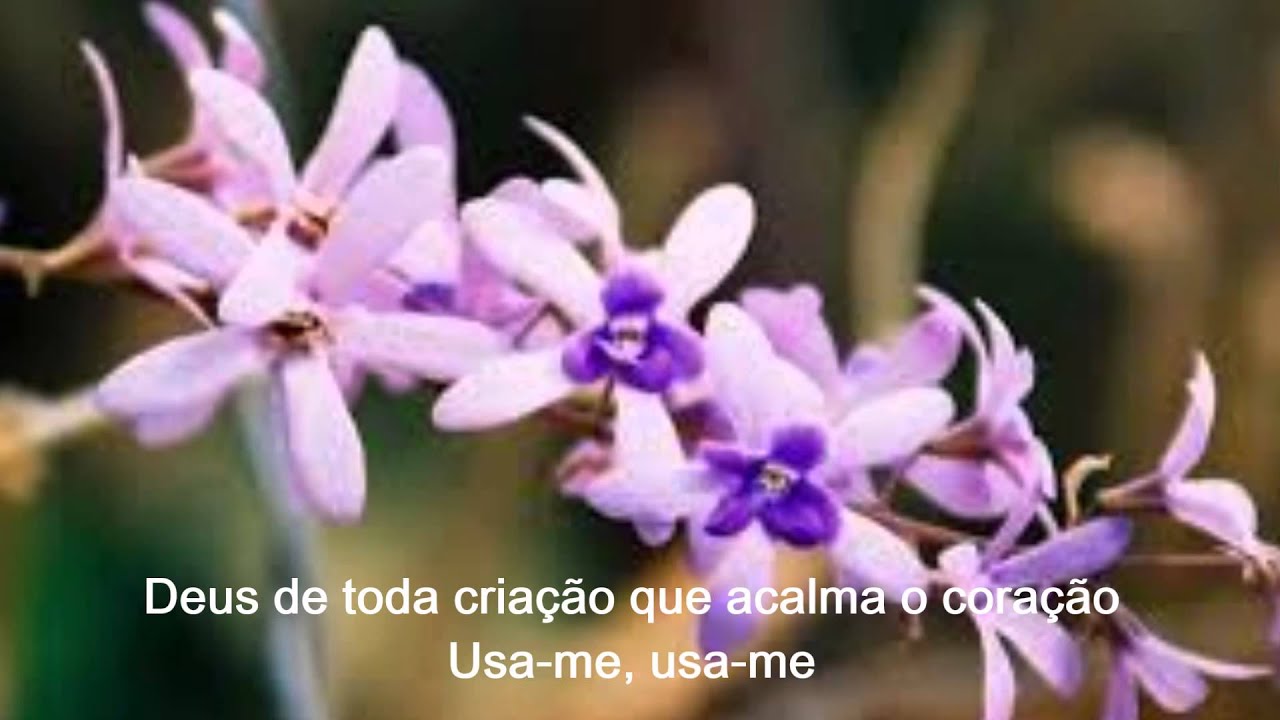Santo Deus, usa-me - Pr André Etzberger