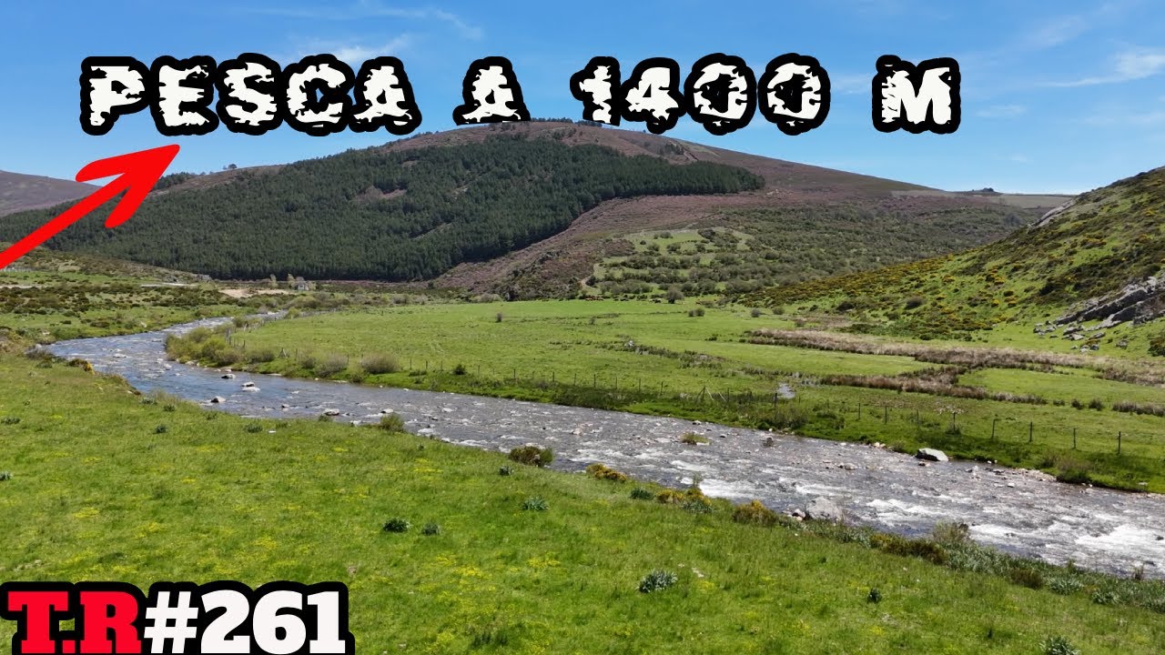 🧭 Truchas Salvajes a 1.400 m: Un Paraíso Escondido en Europa