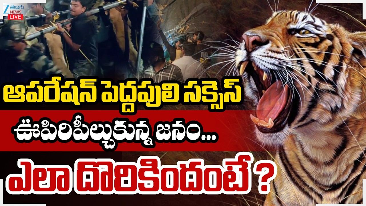 LIVE: Operation Tiger | Kurmapuram | ఆపరేషన్ సక్సెస్ దొరికిన పెద్దపులి | ZEE Telugu News