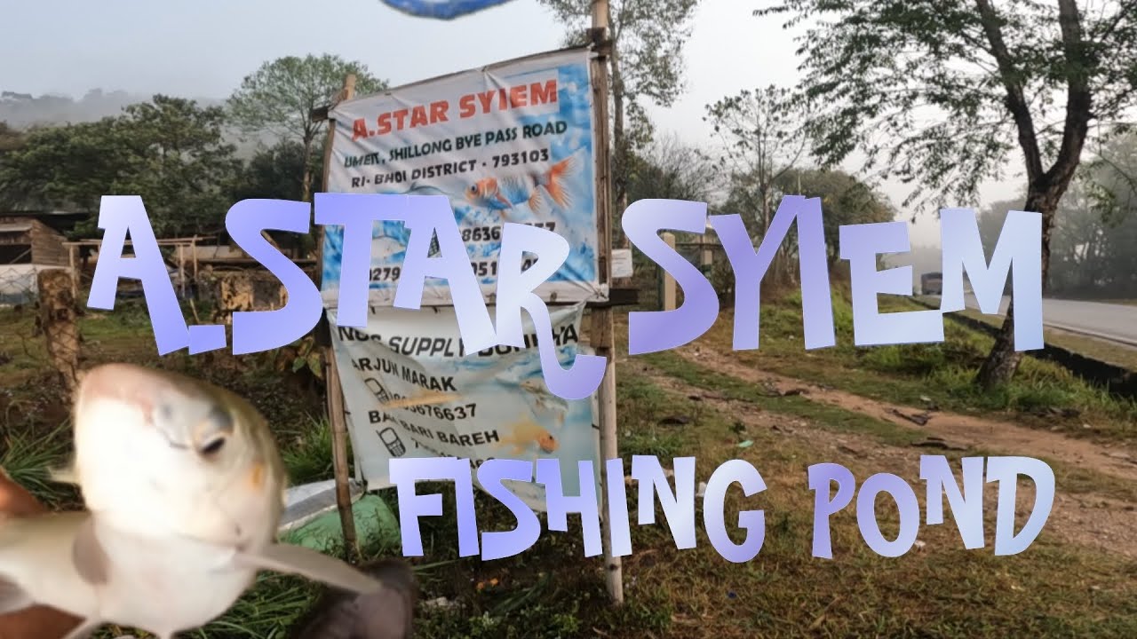 KHWAI SHITENG SNGI TANG HADUH 12bje HA PUNG A.STAR SYIEM FISHING POND JAKA UMEIT 26VLOG-13🐟🎣