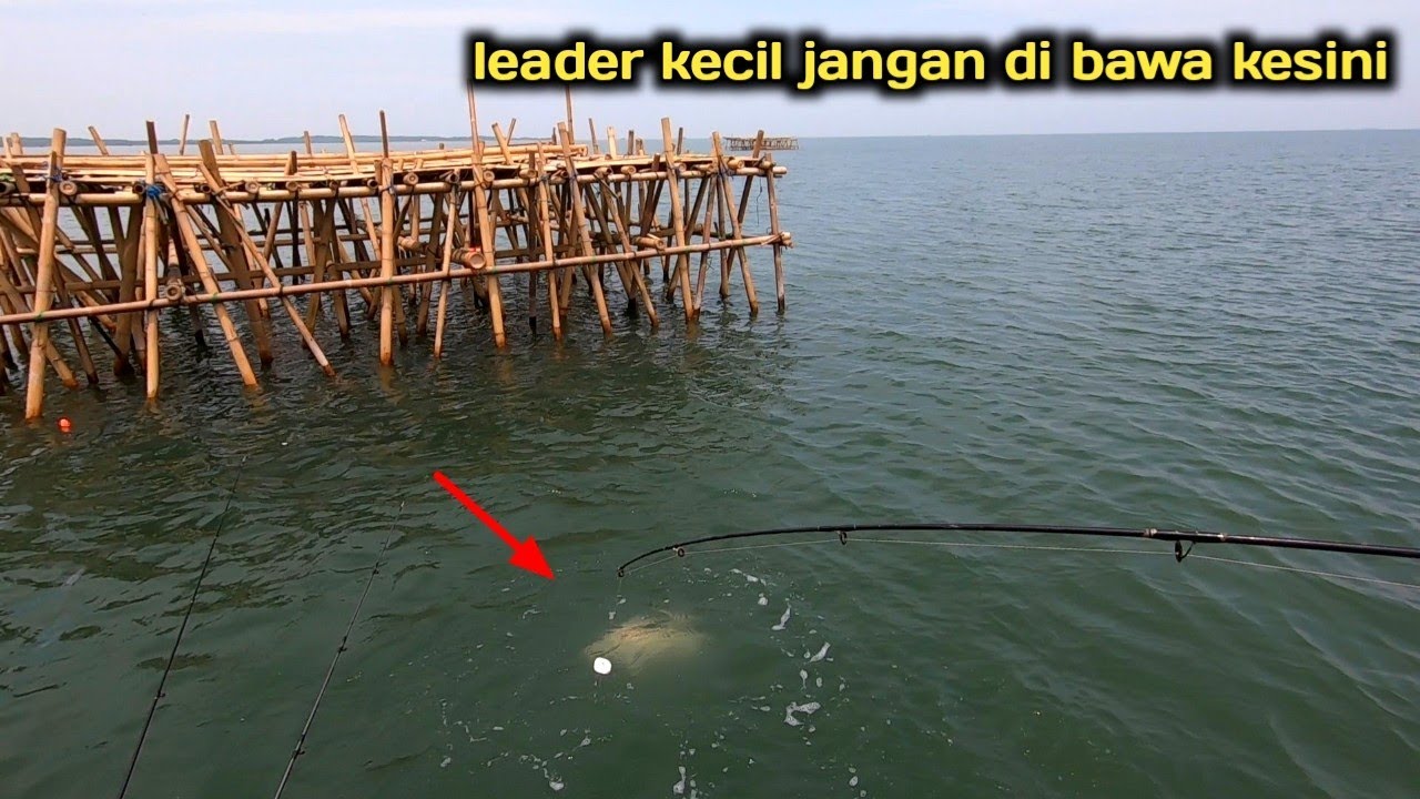 jiwa pemancing mana yang tak bergetar lihat bagan seperti ini