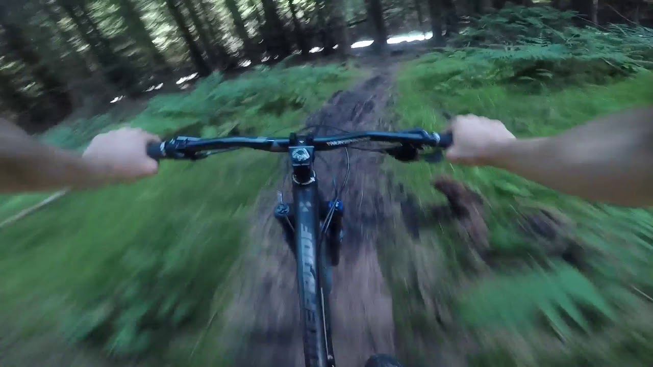 Shredding Blairadam Forest, Fife