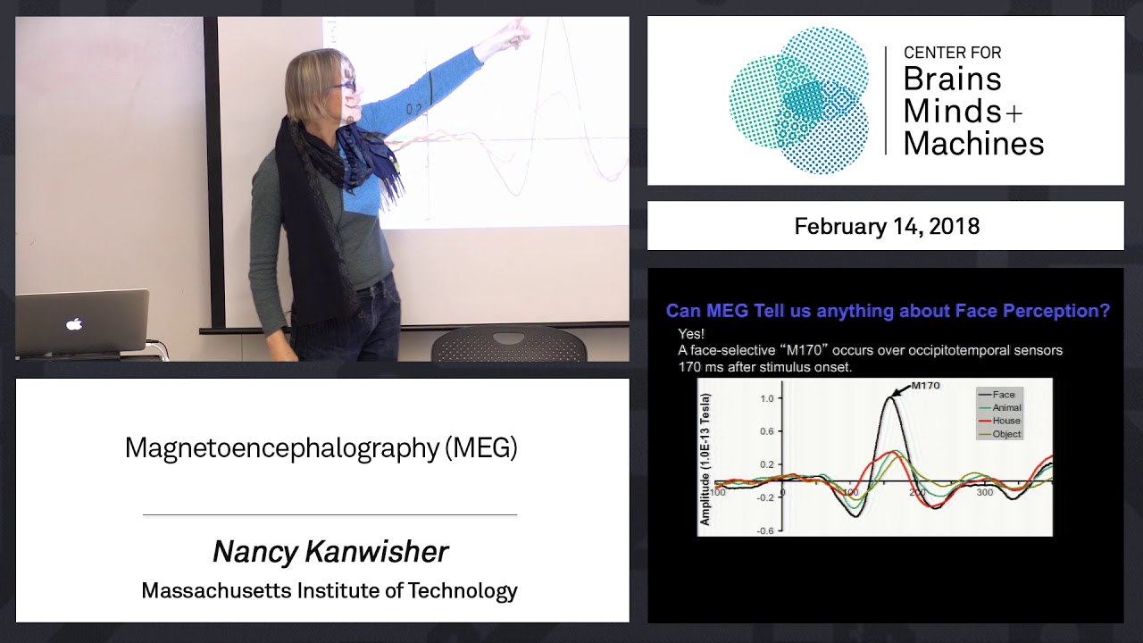 2.10 - Magnetoencephalography (MEG)