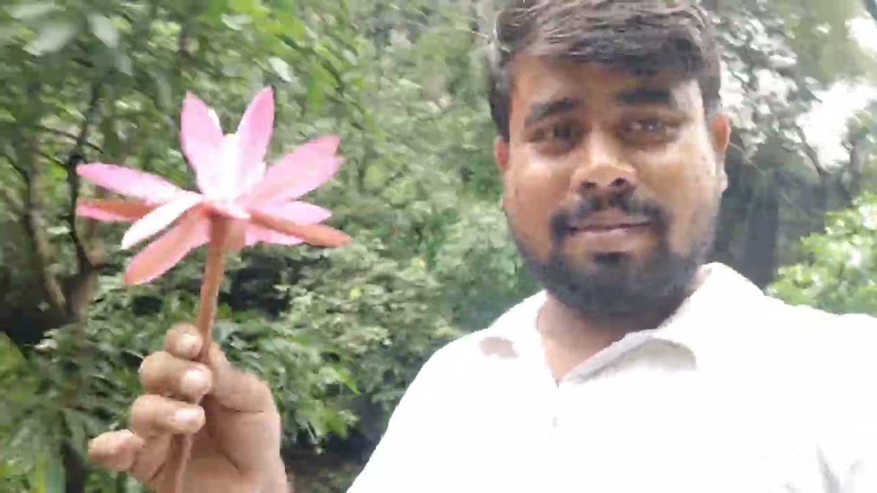 Madhya Pradesh pachmarhi jatashankar Mahadev 