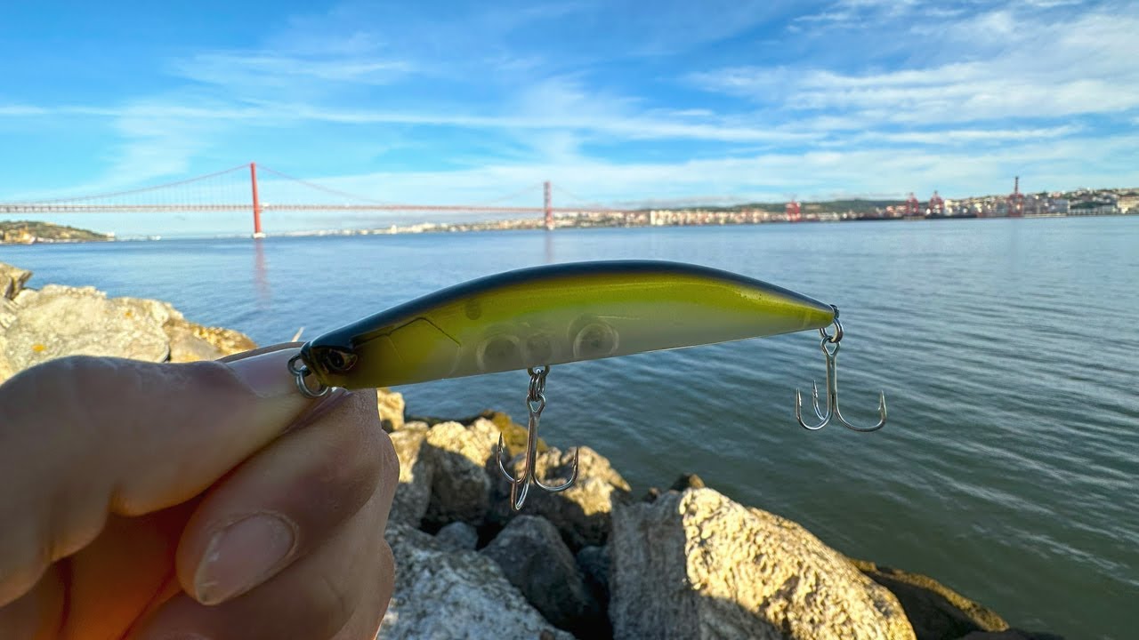 PESCARIA SOLO NO RIO TEJO EM PORTUGAL | Isca artificial 🎣