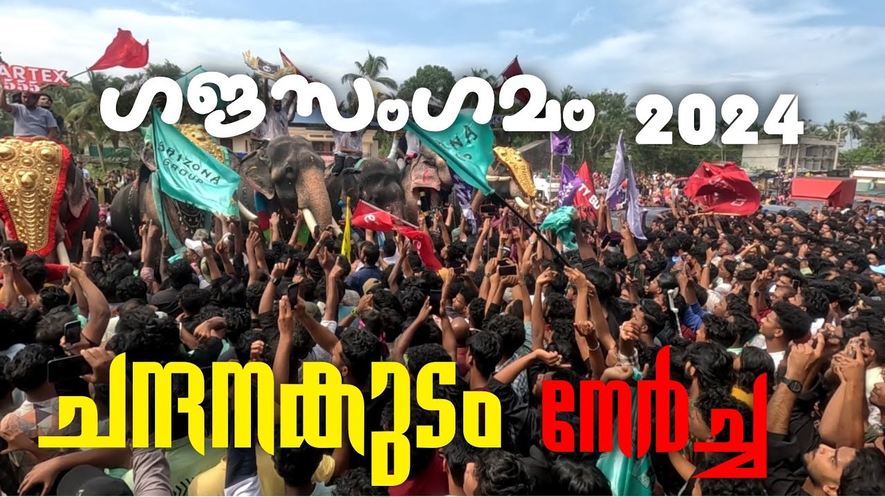 ചന്ദനകുടം നേർച്ച 2024 ഗജസംഗമം |chandanakudam | nercha |