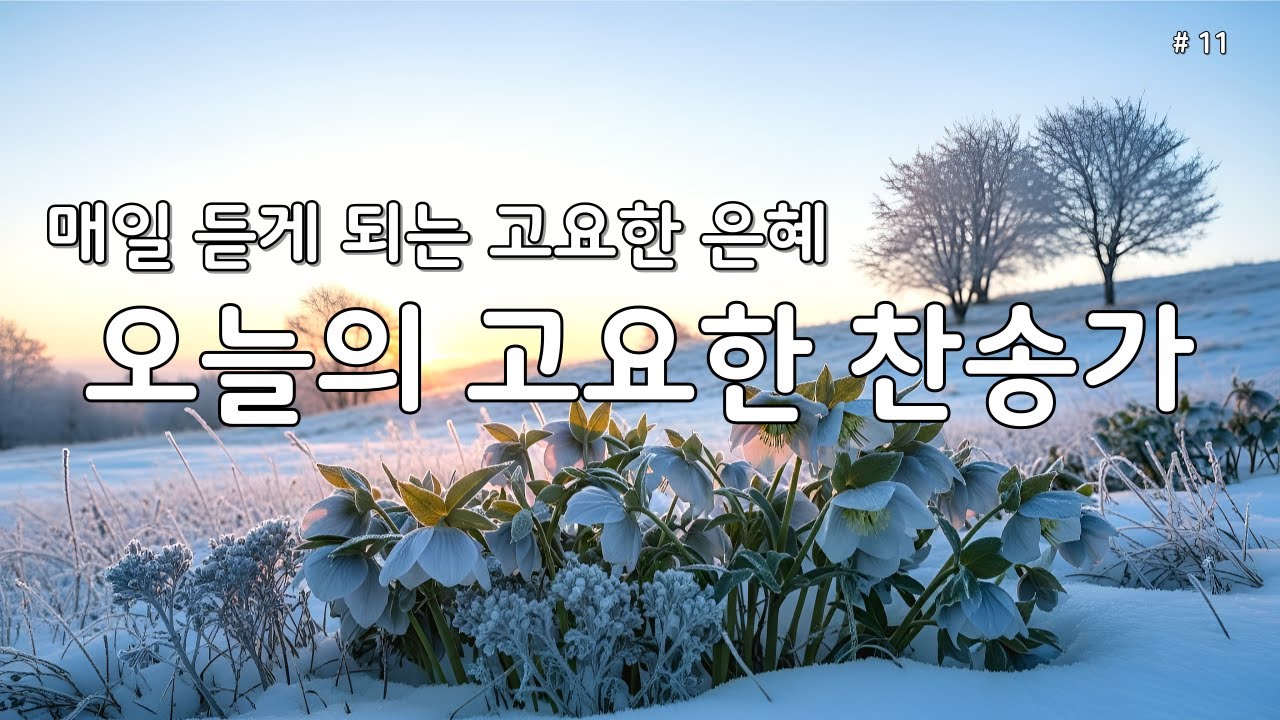【 은빛찬송 | 깊은 위로 】매일 듣는 평안한 찬송가 모음 🕊️ 마음의 쉼을 주는 고요한 묵상·기도 찬양 11 #찬송가 #은혜찬송 #조용한찬송가 #찬송연속듣기 #새벽찬양 #보혈찬송