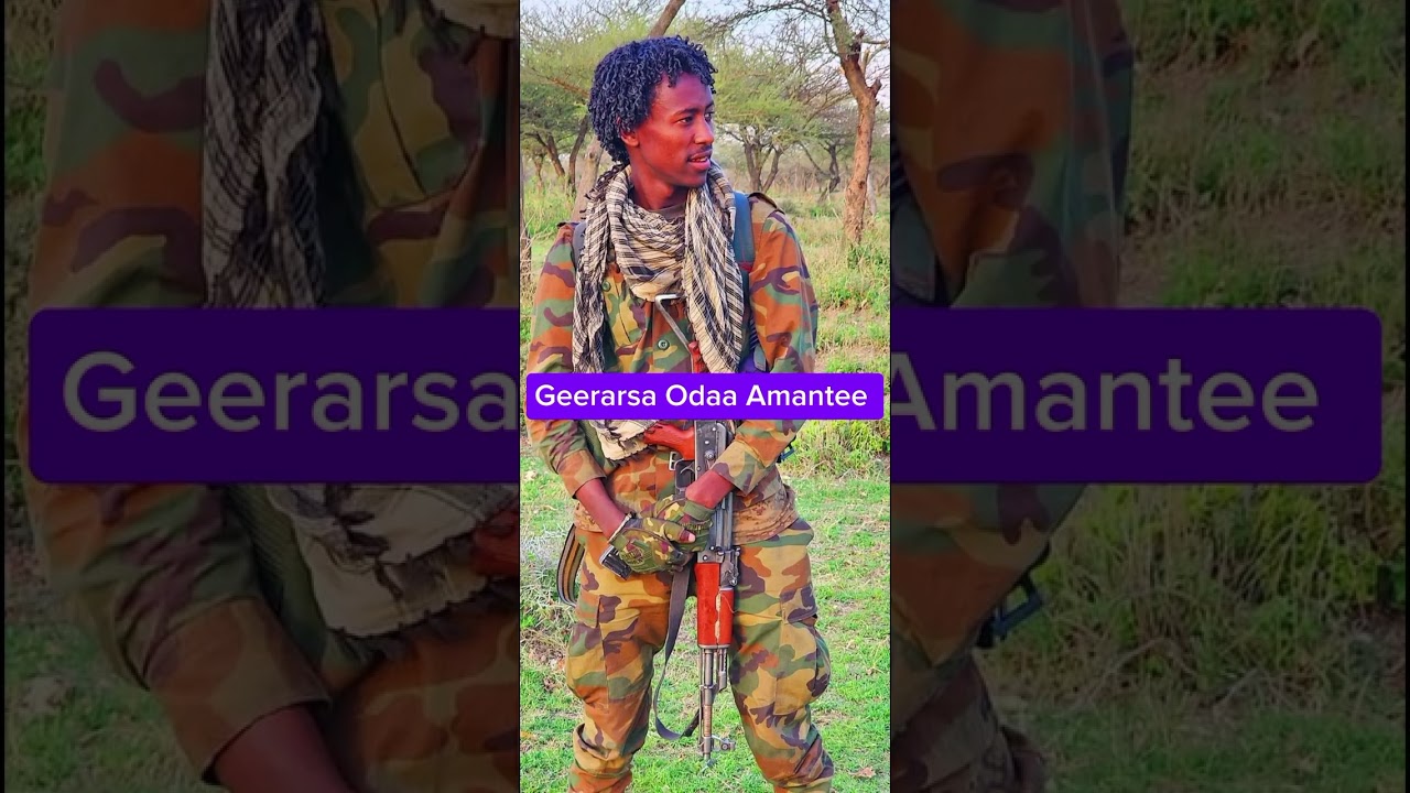 Geerarsa Aadaa Oromoo Weellisaa Odaa Amantee Bara 2017