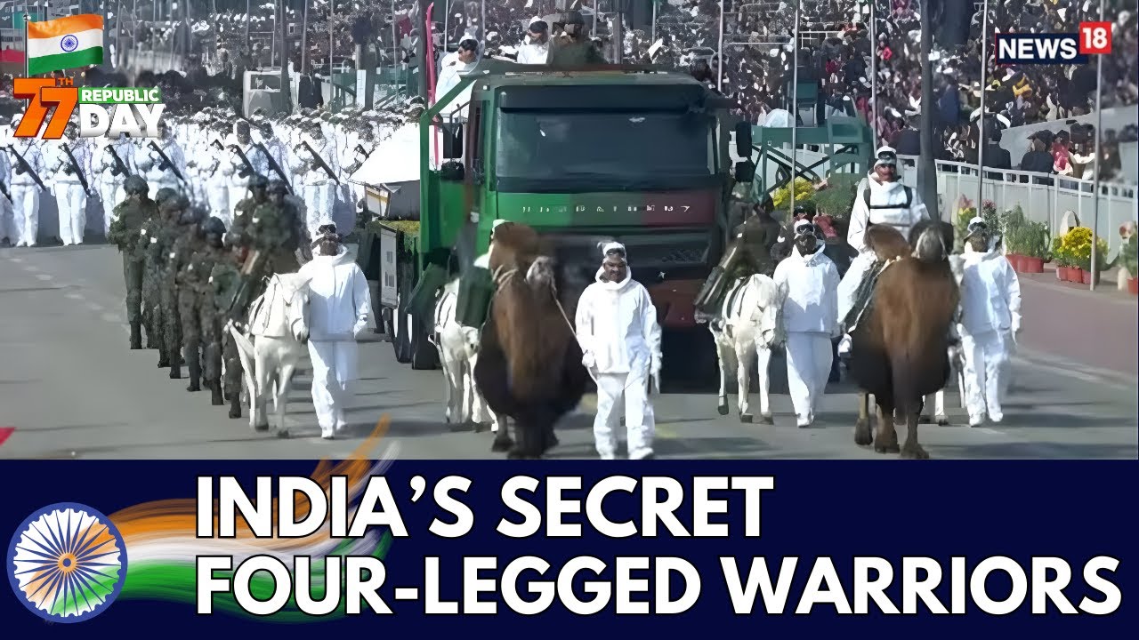 From Ponies to Raptors, Him Yodha Stuns R-Day Parade With A Display Of Majestic Animals | 4K