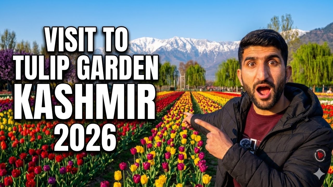 Kashmir Trip : Visit To Tulip Garden Srinagar Kashmir 2026 #tulipgardenkashmir #kashmirtrip #india 
