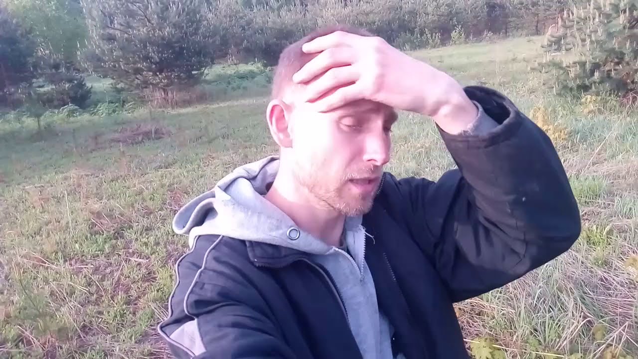 Посадка леса, лесосада, широколиственного леса, питомника без денег