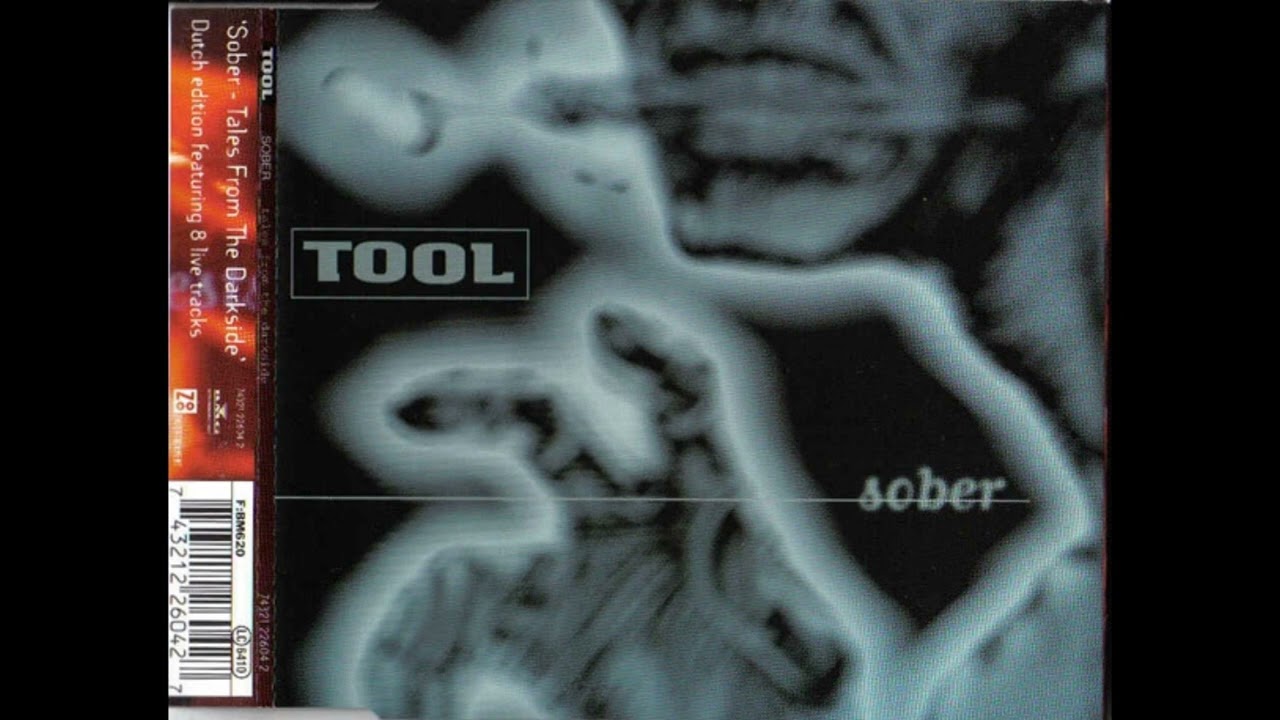 Tool - Jerk-Off (Live)