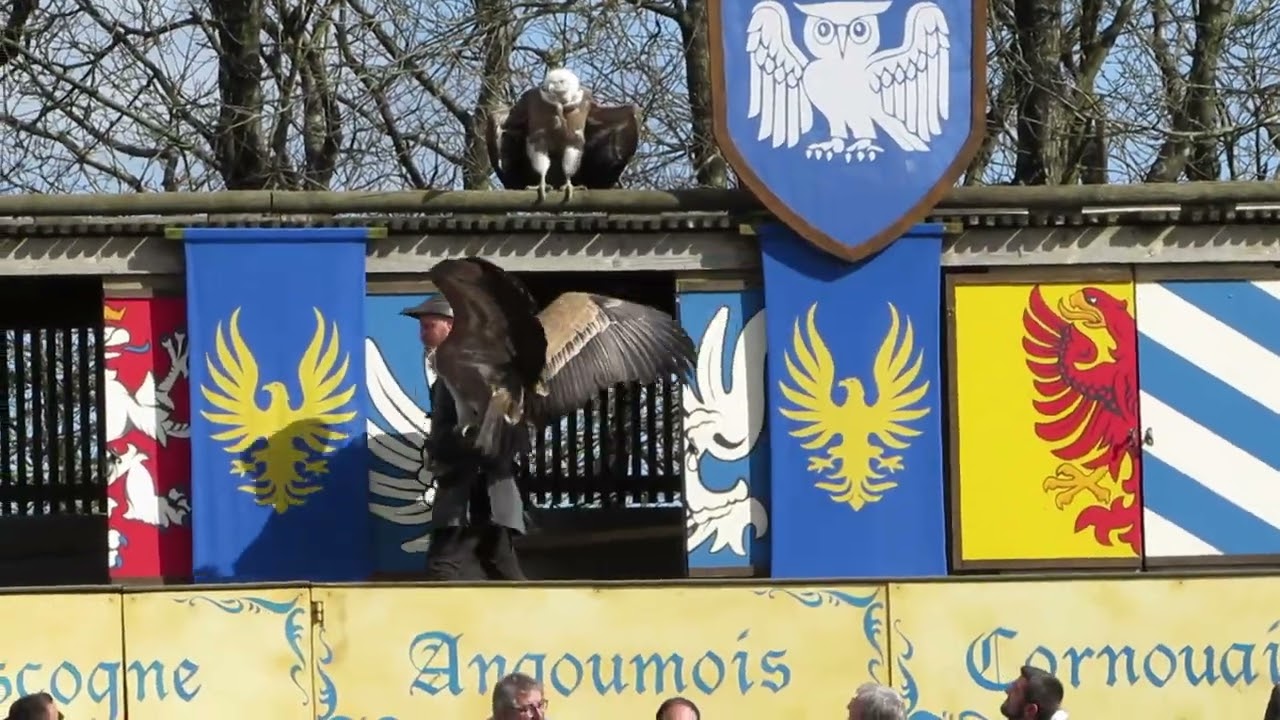 Le Bal des Oiseaux Fantômes - NOUVEAUTÉ 2022 - Partie 2 - Puy du Fou 2022