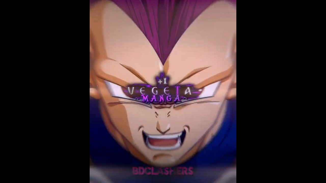 Vegeta Vs Goku Black