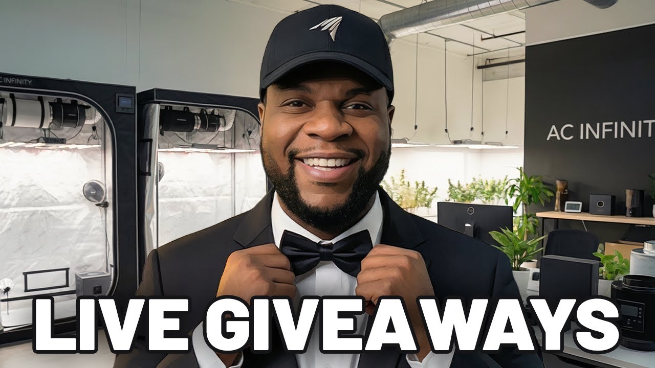 How To Make A Living From Content with LIVE GIVEAWAYS - The Sunday Show EP2