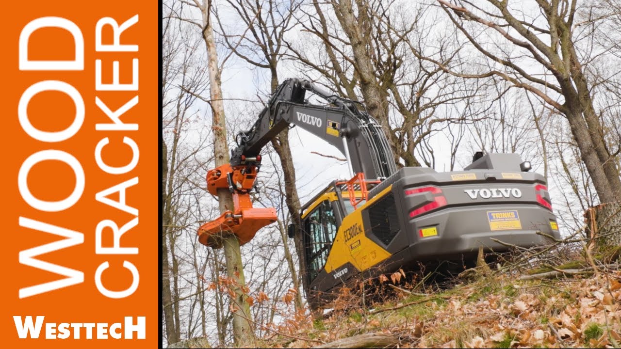 Let's cut new Dimensions: the new Woodcracker&reg; C650