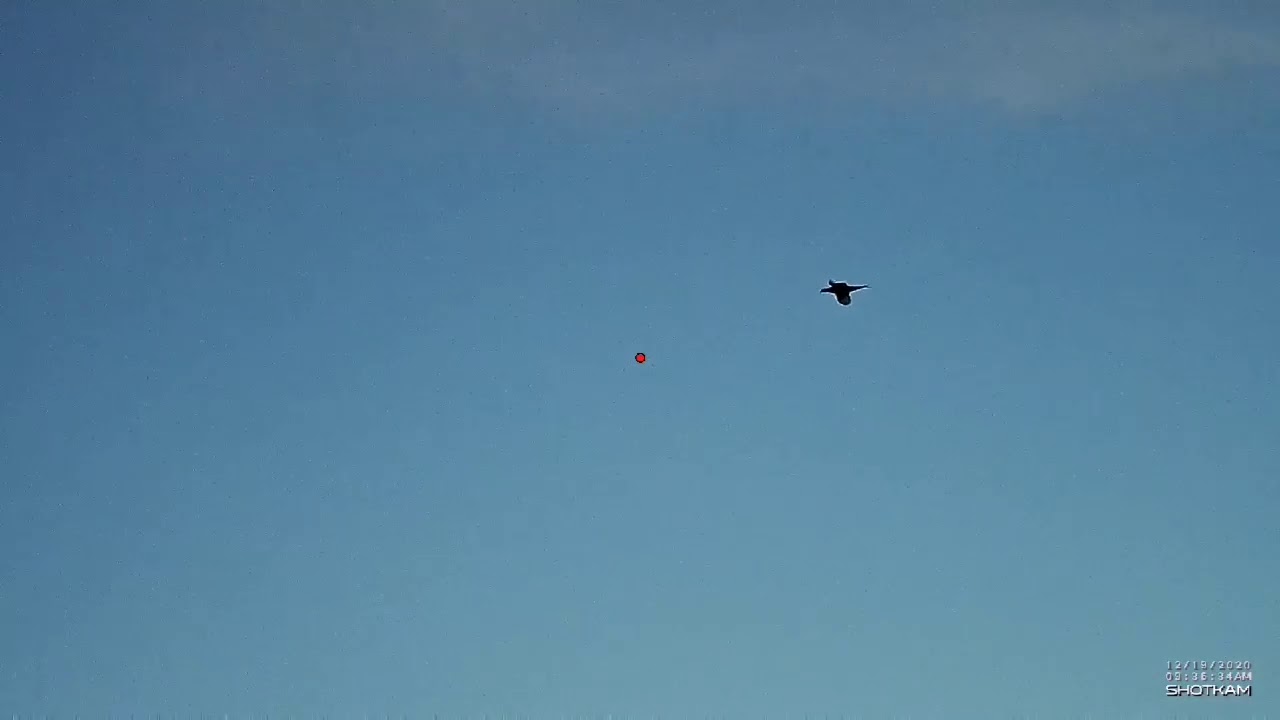 Pheasant and partridge shooting | 28gauge |Shotkam