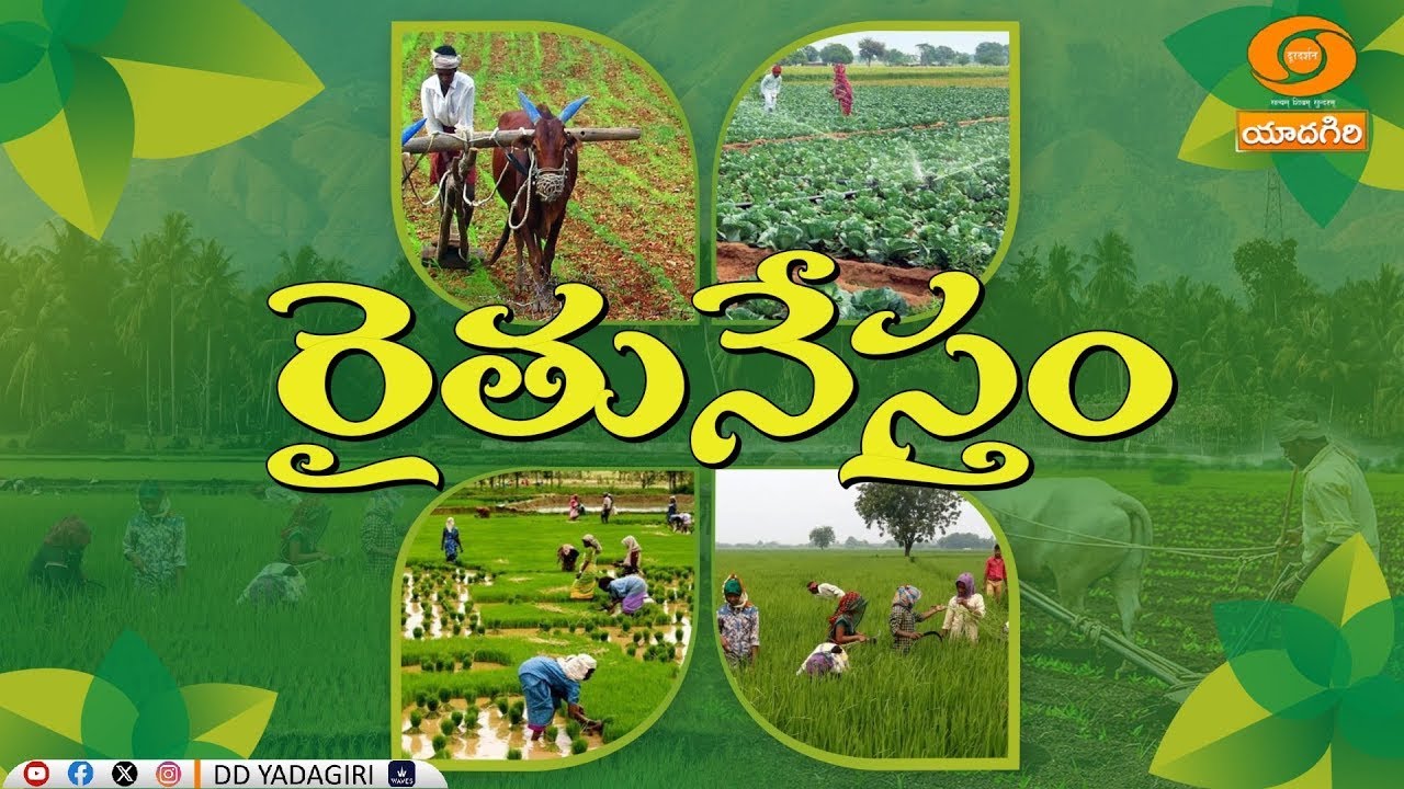 రైతునేస్తం | వ్యవసాయ రంగంలో  ఆదర్శ రైతుల అనుభవాలు | #Raithunestham |