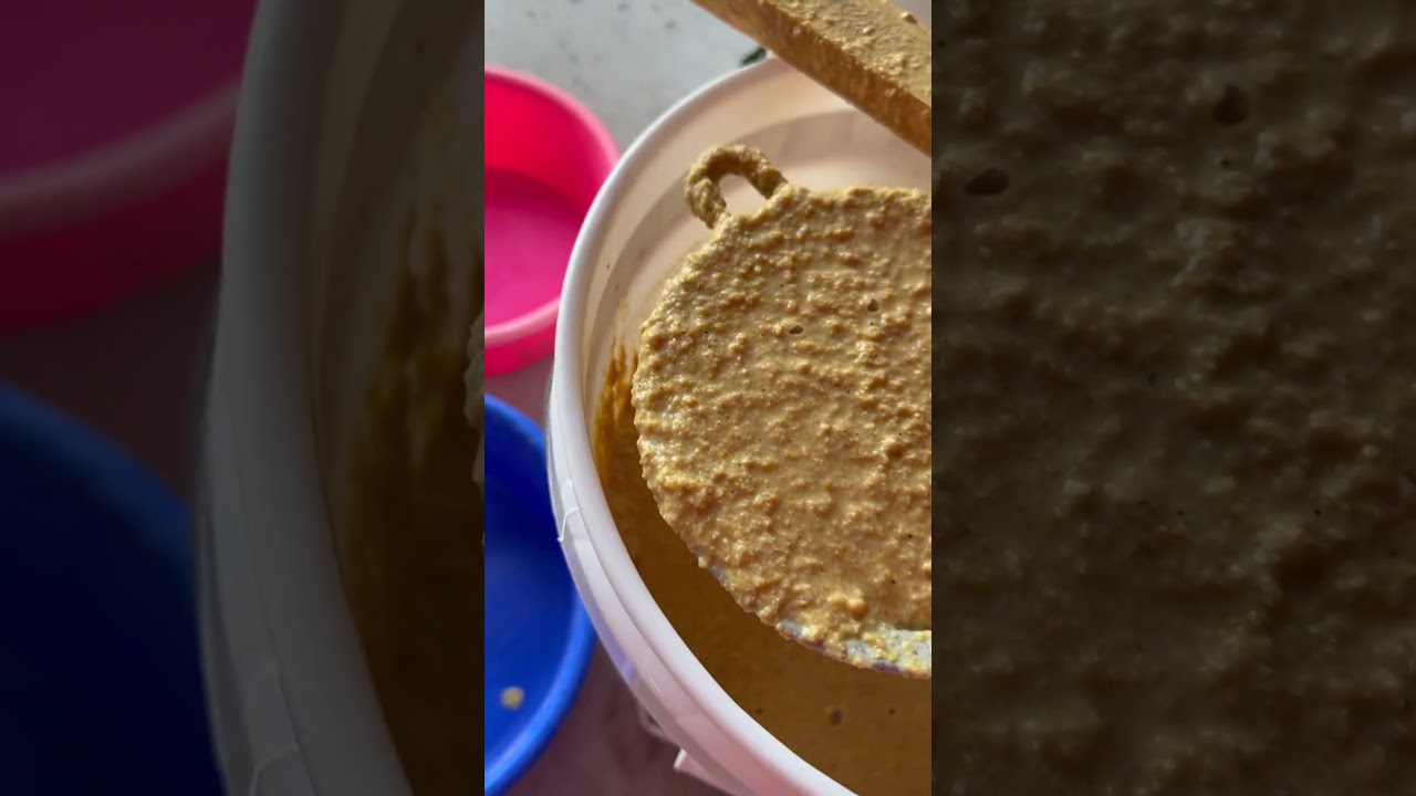 Here&rsquo;s how we ferment our feed! #chickenfeed #chickens #fermented #feed #backyardchickens #farm #fyp