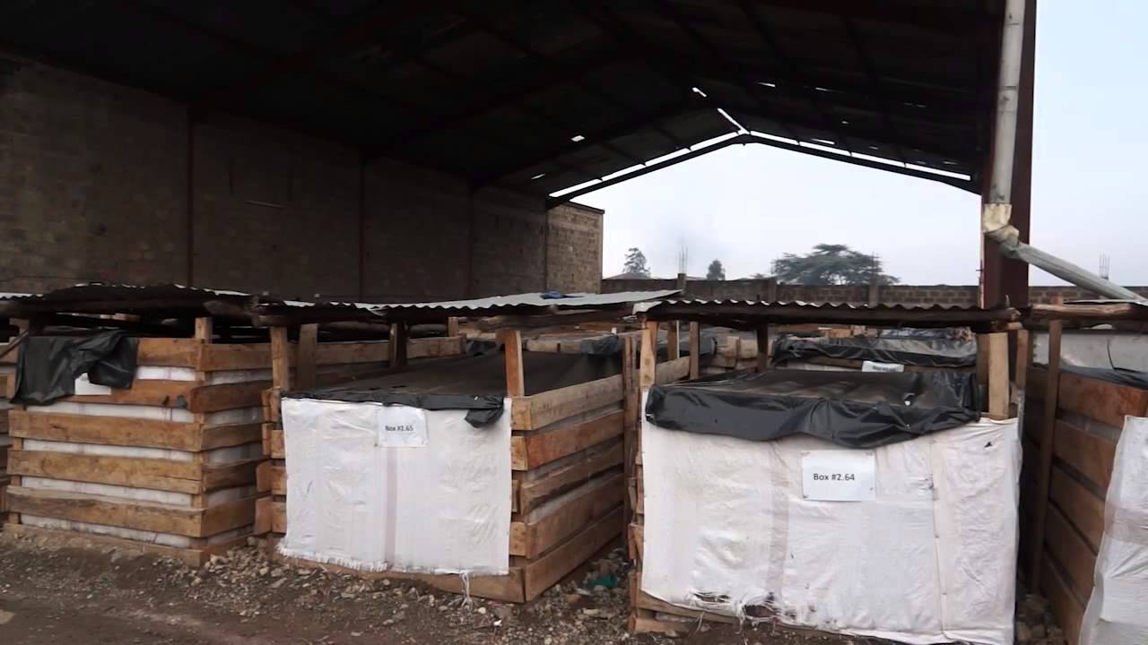 Sanergy's work