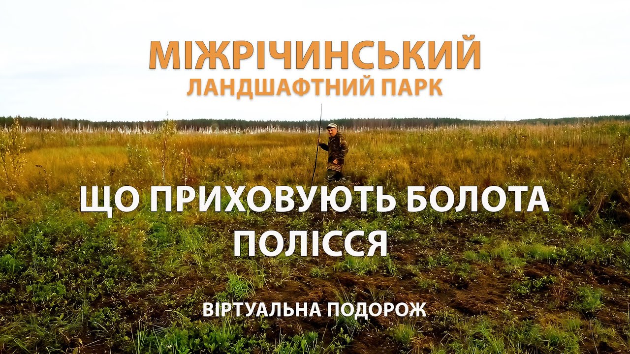 🦋 Міжрічинський парк: найбільше болото України. Таємниці Полісся та його унікальна природа