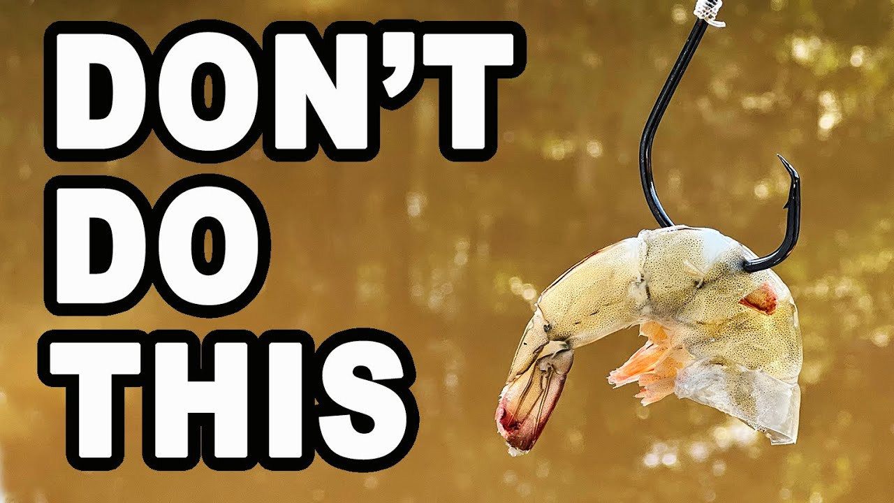A Good Catfish Bait Lesson to Learn