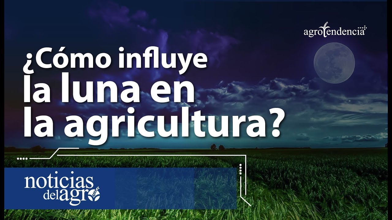¿Cómo influye la luna en la agricultura? 🌑🌱