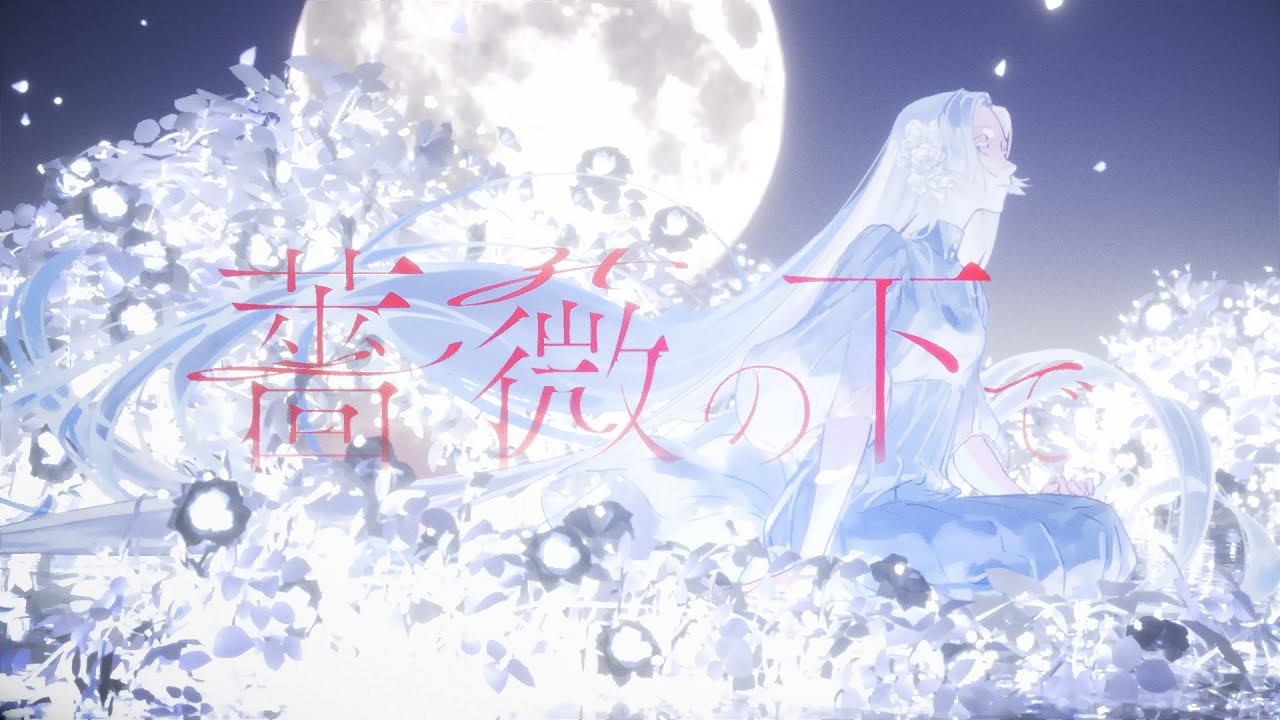 tayori - 薔薇の下で (Official Video)