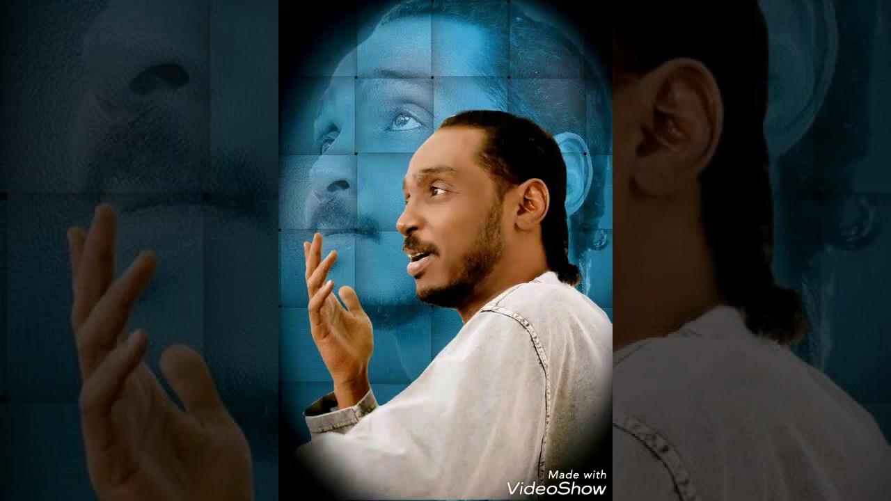 محمود عبدالعزيز - سيد الإسم كاملة