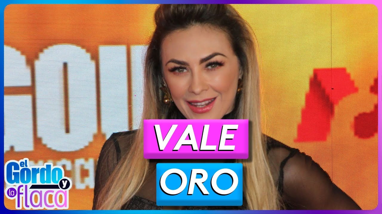 Así logró Aracely Arámbula aumentar su fortuna y criar a sus hijos sin Luis Miguel | GYF