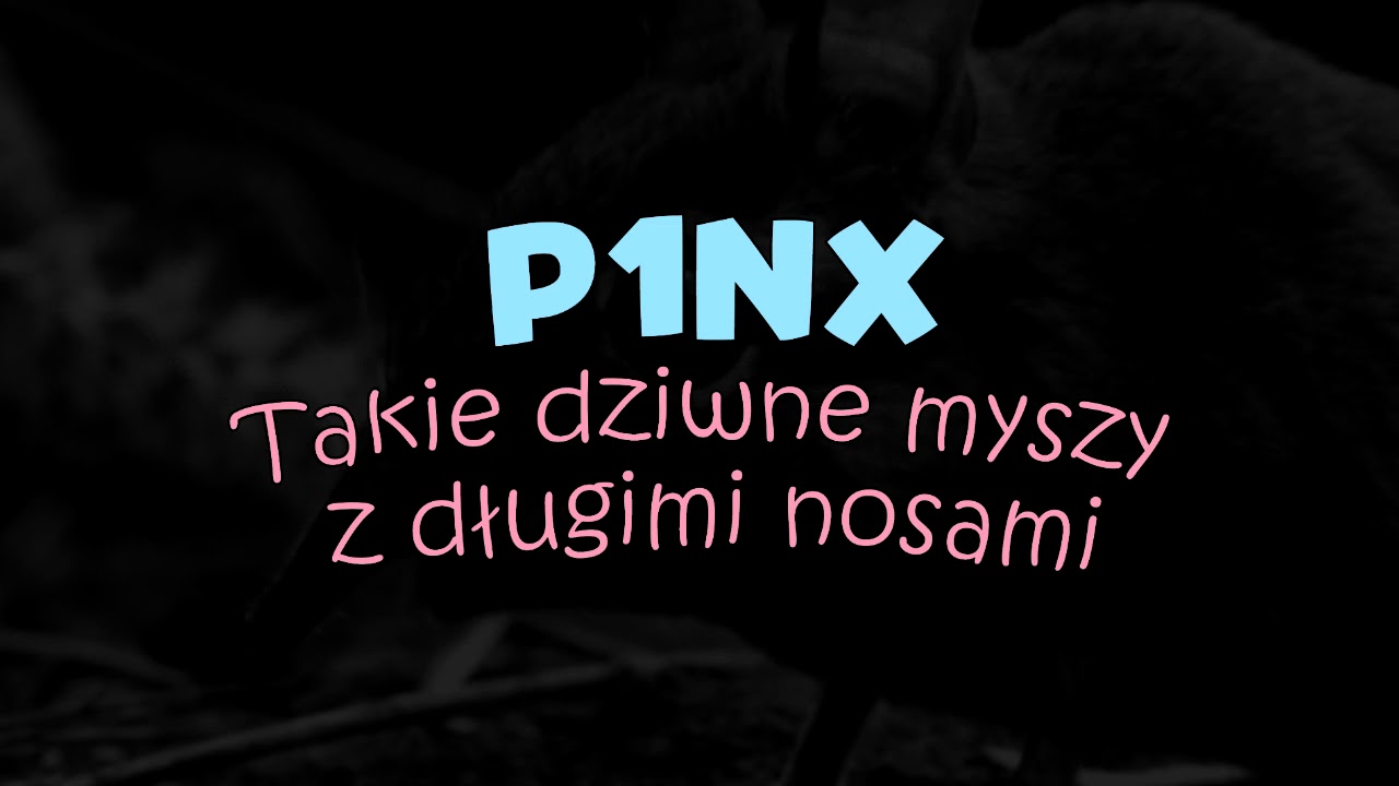 P1NX - Takie dziwne myszy z długimi nosami