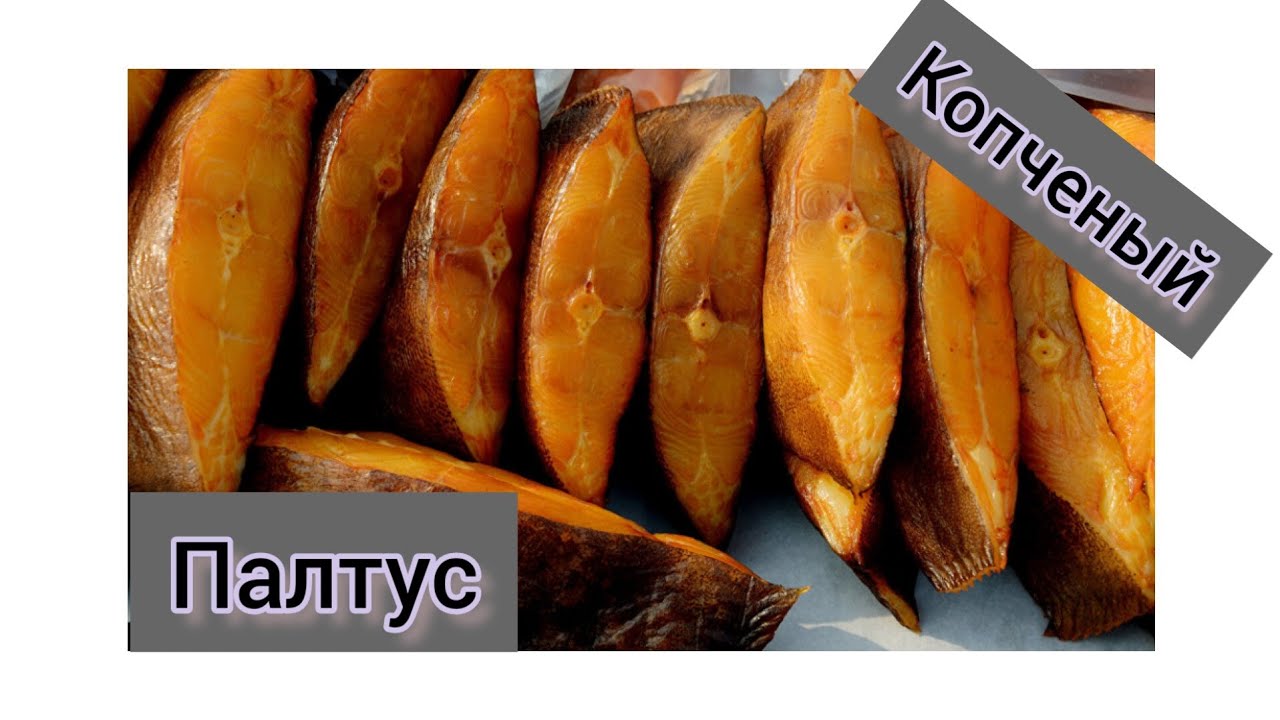 ПАЛТУС СИНЕКОРЫЙ КОПЧЕНИЕ ЗАСОЛКА МОСКИТ
