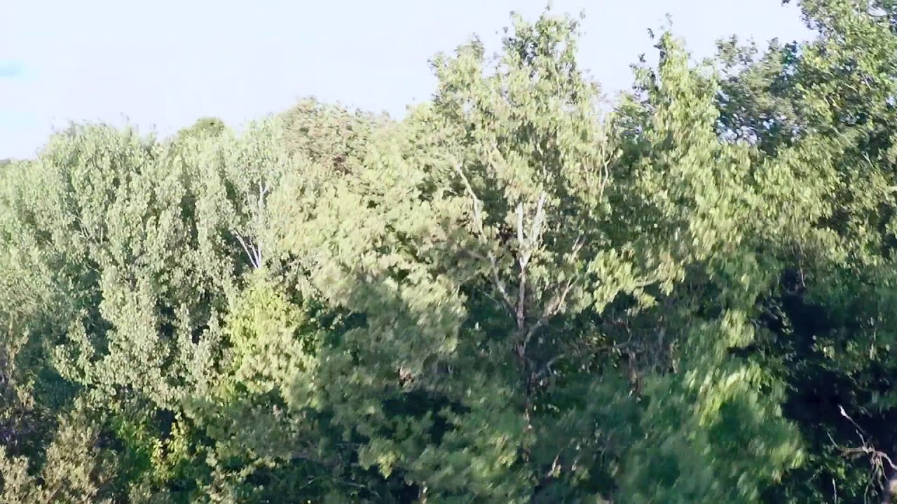 Rotier Lakes with Angling Paradise