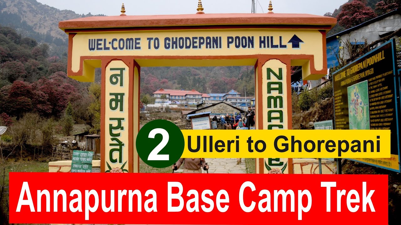 Annapurna Base Camp Trek | EP2 from Ulleri to Ghorepani | Magnificent scenery and rhododendron