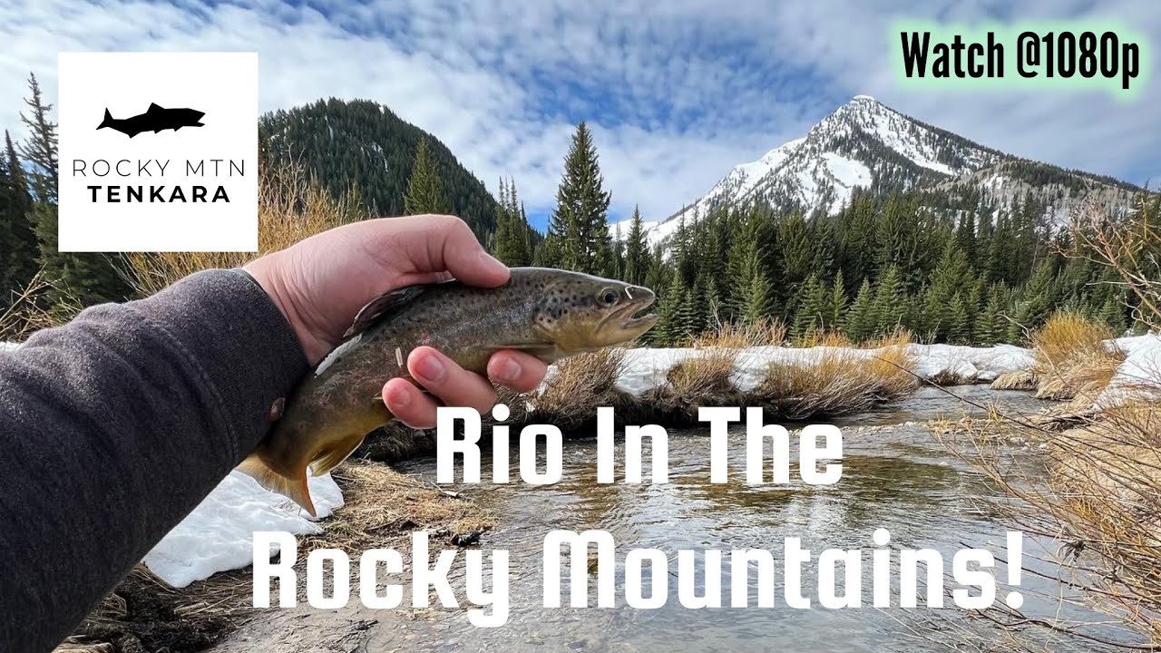 Fishing The Rocky MTN Tenkara RIO!