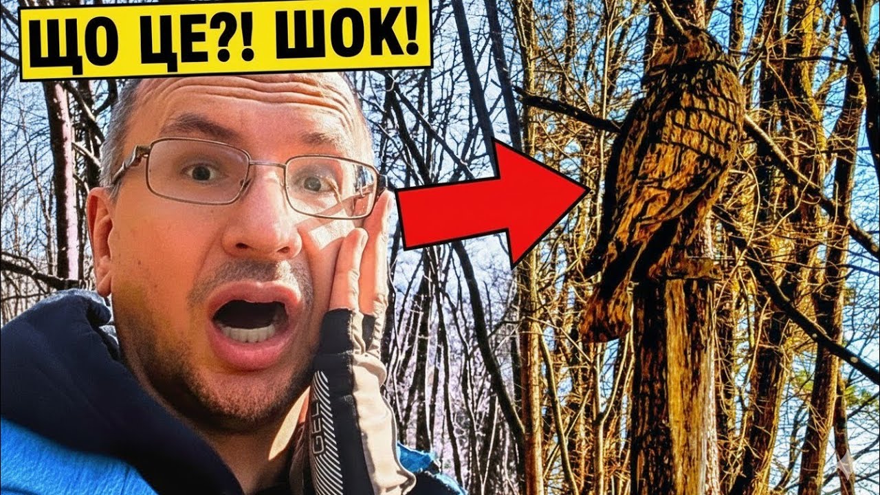 Що це за знахідка в лісах Баварії😱