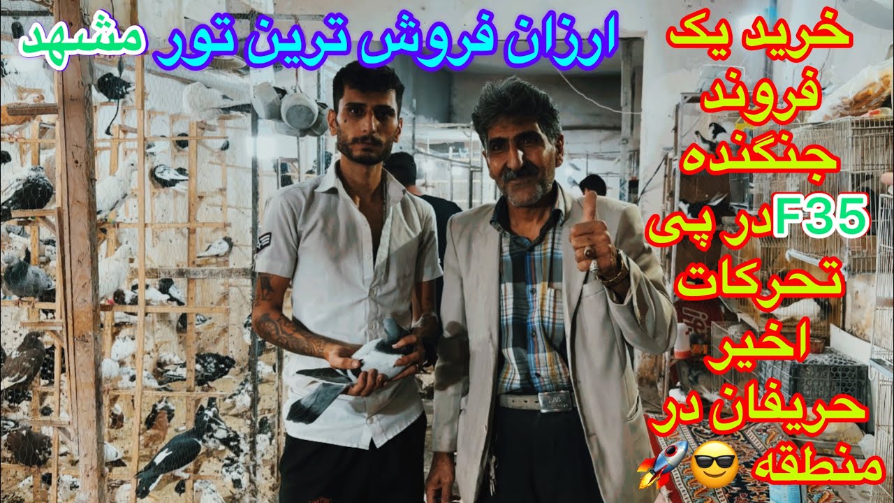 خرید یک فروند کبوتر جنگندهF35از ارزان فروش ترین تور کبوتر مشهد همراه محمدرضا/نظر حریف حسین در مورد۰۰