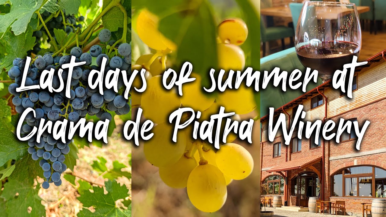 Last days of summer at Crama de Piatra Winery [4K, Drone, Cinematic, Beautiful nature scenery]