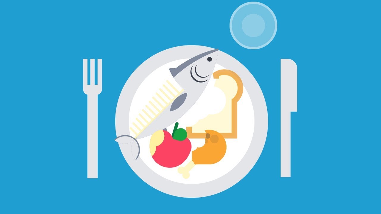 Voedselverspilling: wat doe je met de restjes van gisteren?