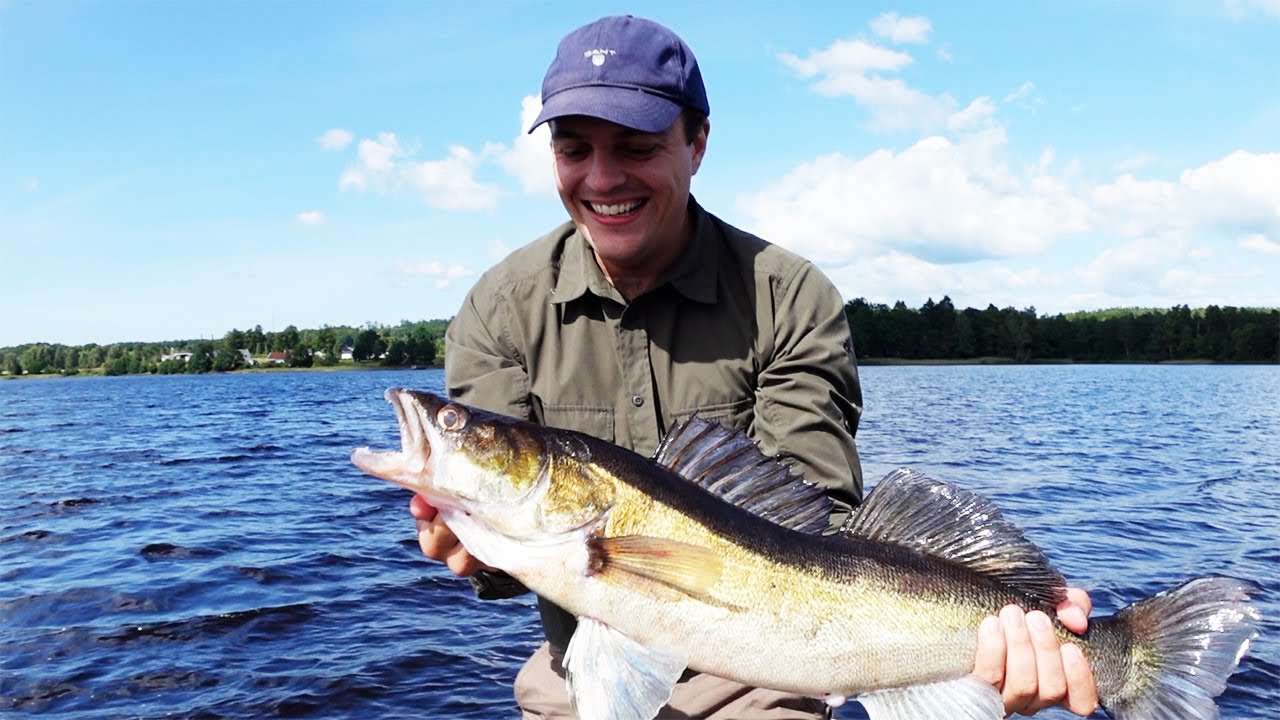SOMMARFISKE efter GÖS, GÄDDA & ABBORRE - Simon tar PB!