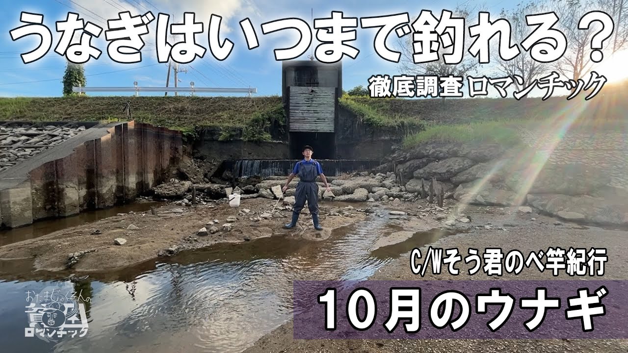 ウナギ穴釣り【10月のウナギ調査】うなぎはいつまで釣れる？飼育ミミズを使って秋の川遊び！ep.082