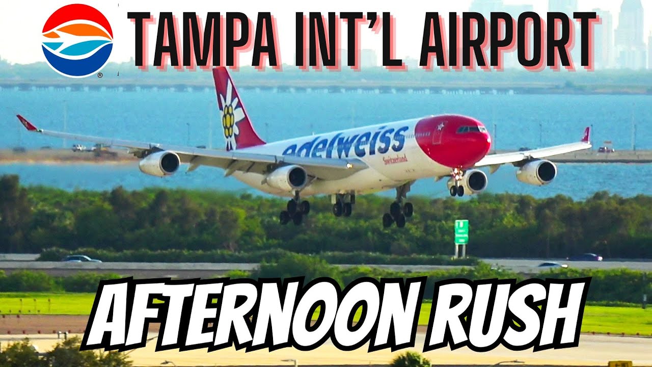 (4K) AFTERNOON RUSH | 10/06/23 | PLANE SPOTTING | TAMPA INTL AIRPORT #aviation #planespotting #new