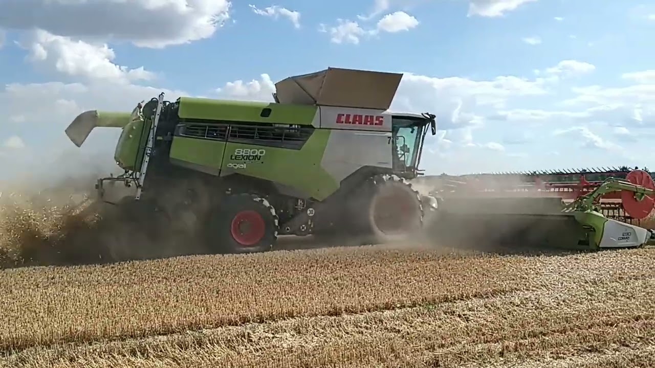 Žatva 2025 Pšenica 2x CLAAS LEXION 8800 25.časť