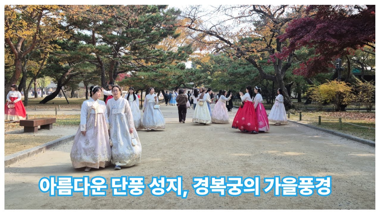 가을단풍의 성지 환상적인 경복궁/한복입은 외국인으로 인산인해/Gyeongbokgung Palace with its gorgeous autumn foliage