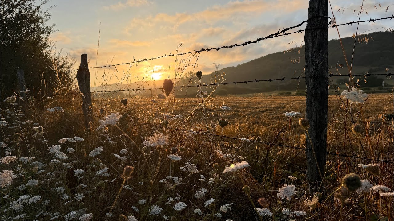 Day 3. Zubri to Pamplona on Camino Frances