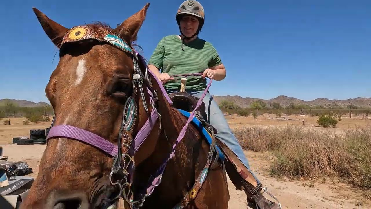 Ambers Horse Ride