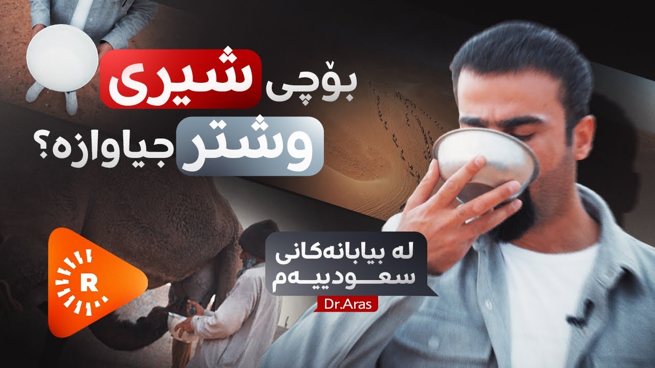 Dr Aras-Saudi-Şîrê Hêştir |دکتۆر ئاراس- لە بیابانەکانی سعودییەم؛ شیری وشتر بۆ جیاوازە؟